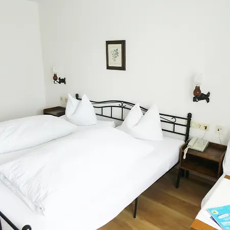 Hotel Gesundheitshotel Witzigmann - Vegane In 2*
