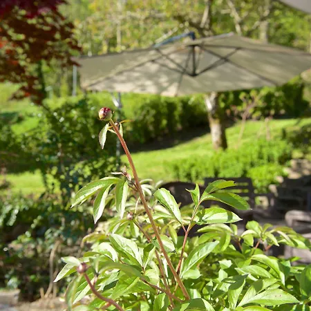 Gesundheitshotel Witzigmann - Vegane In Hotel Oberstaufen
