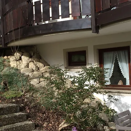Hotel Gesundheitshotel Witzigmann - Vegane In