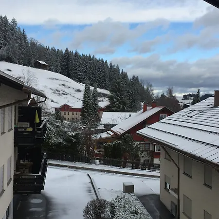 Hotel Gesundheitshotel Witzigmann - Vegane In 2*